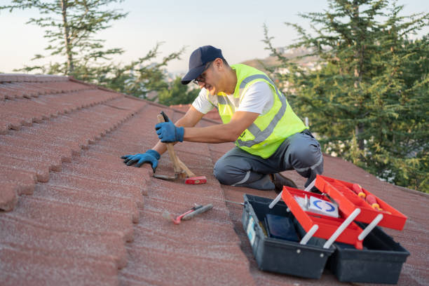 Best Roof Replacement Cost  in Darien, GA